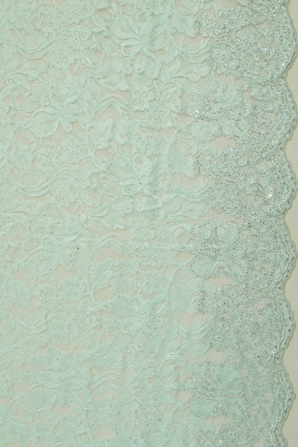 Chantilly Lace Sea Green Saree With Stone Work